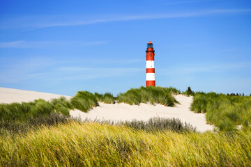 View of the dunes on the North Frisian island of Amrum. Landscape in the north. Nature on the North...