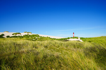 View of the dunes on the North Frisian island of Amrum. Landscape in the north. Nature on the North Sea island with a lighthouse.
