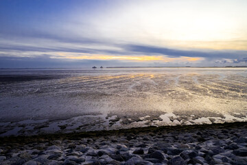 Fototapeta premium Landscape near Dagebüll in the evening. Nature on the North Sea coast. 