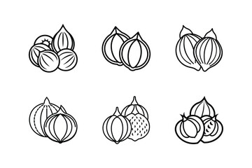 hazelnuts line art vector illustration