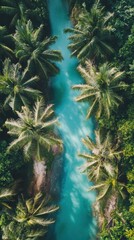 Obraz premium Aerial view of tropical river with palm trees nature landscape lush environment