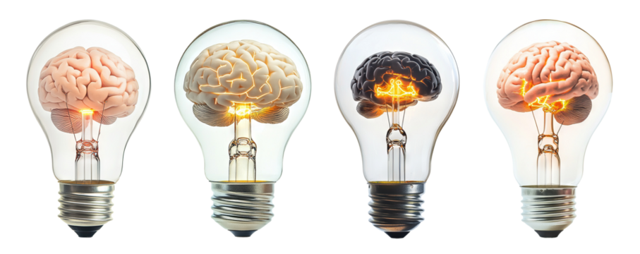 Set of light bulbs with brains inside, symbolizing creativity, isolated on transparent cutout background