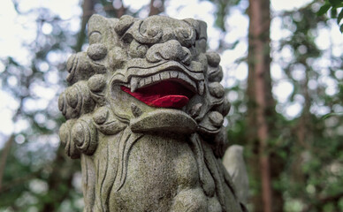 Close-up selective focus on a Japanese komainu (or lion-dog) statue, near the entrance of a temple in a mountain forest near Ome, Tokyo