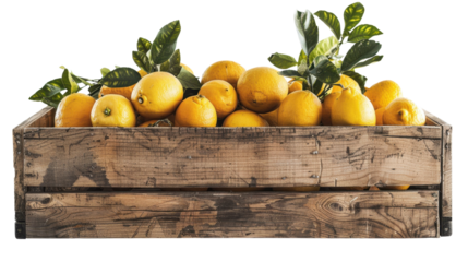 Freshly picked lemons and oranges overflowing a rustic wooden crate with transparent background