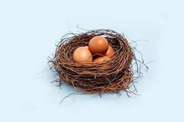 Eggs in nest isolated on white color background