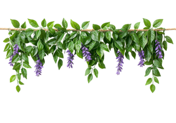 Flower,garland,isolated clipart. Lush green leaves with purple flowers hanging on a rope against a black background.