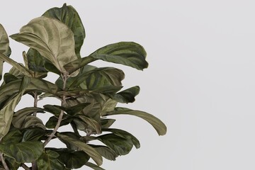 Plant pots in various natural shapes on a white background 3d