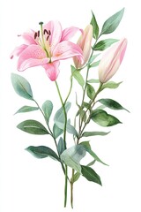 Watercolor Pink Lily Flower Bouquet with Green Leaves