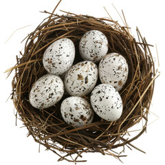 Obraz premium Fresh speckled eggs in natural nest made of twigs and straw, showcasing rustic and organic feel. Perfect for nature themed projects or Easter celebrations
