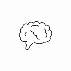 cauliflower icon vector sign