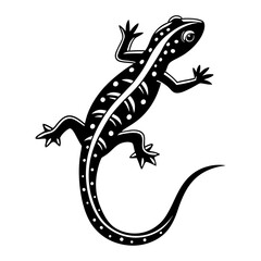 lizard on white background