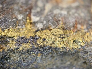 macro photography gold mine 4