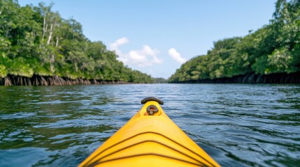 Kayaking through lush mangrove tunnel