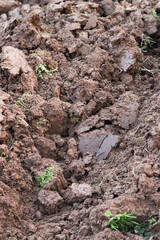 brown plowed soil. spring field. Agriculture. Soil for farming. business agriculture concept. Nurturing the Earth.