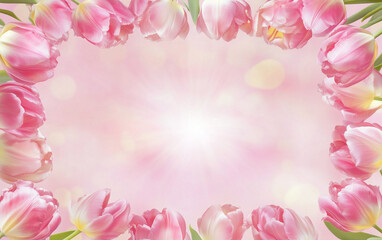 Fototapeta premium Flat lay of pink tulips arranged in a border on a light pastel background with copy space
