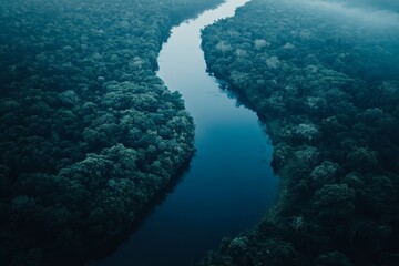 Naklejka premium Aerial view of a river winding through a lush, green rainforest.