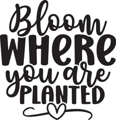 Bloom Where You Are Planted