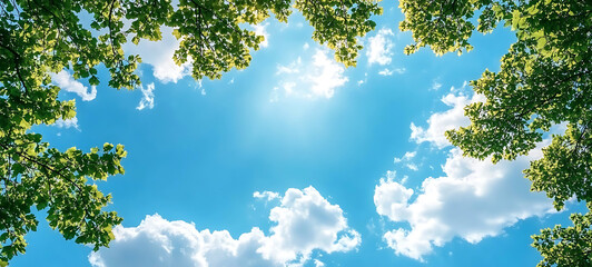 Obraz premium Empty blue sky, fluffy clouds in the foreground and green tree branches. high resolution AI Generative image