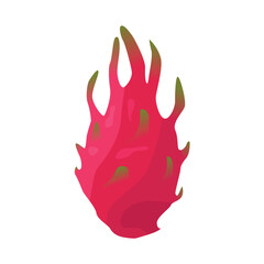 Dragon fruit illustration isolated on white