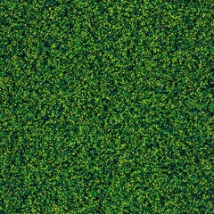Close-up view of lush green hedge foliage texture background