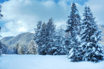 Ski resort Bansko, Bulgaria, groomed ski road