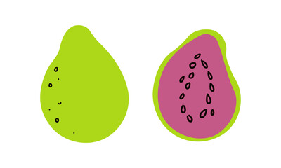 Guava whole fruit and half sliced isolated on white background. Ripe guava cartoon icon for package design. Vector illustration of tropical fruits in flat style.
