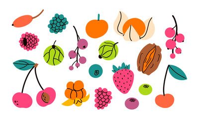 Berries set. Juicy forest berry, raspberry, strawberry, blueberry, gooseberry and red currant, wild edible fresh berries flat vector illustration set. Ripe delicious berries collection .Tropical and e