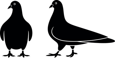 Dove logo. Isolated dove on white background. Bird