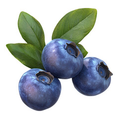 Obraz premium Blueberry Cluster with Shading, vibrant blue berries, rich textures, transparent background, perfect for digital design and illustrations