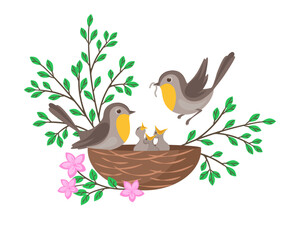 Bird nest with screaming chicks and caring parents. Flat vector illustration of spring birds family.