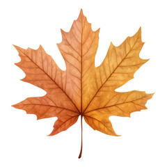 Obraz premium Autumn Maple Leaf, vibrant hues of red and orange, isolated on a transparent background, perfect for seasonal designs and decorations