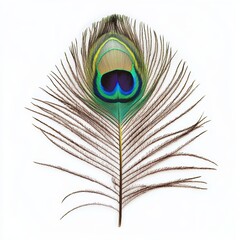 Obraz premium Penguin isolated on white background for marketing campaigns