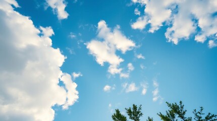 Serene Blue Sky with Fluffy Clouds and Treetops