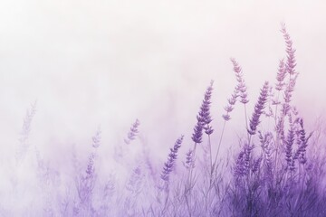Fototapeta premium Ethereal lavender mist over meadow nature photography soft environment serene viewpoint tranquil concept
