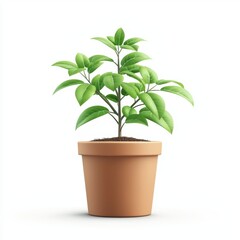potted plant in a biodegradable pot, symbolizing sustainability, placed on a white background