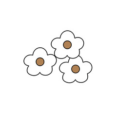Three white flowers with brown centers