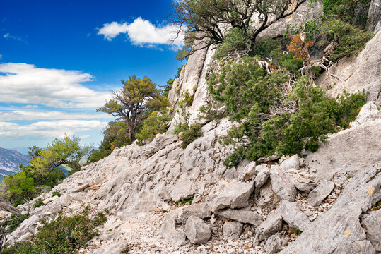 Sardegna, sentiero nel supramonte di Dorgali, Italia, Europa occidentale   
