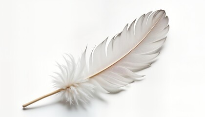 Obraz premium Soft white feather with delicate structure lies on plain white background. Detailed texture shows fine filaments, soft downy parts. Feather displays natural beauty. Image evokes feelings of purity,