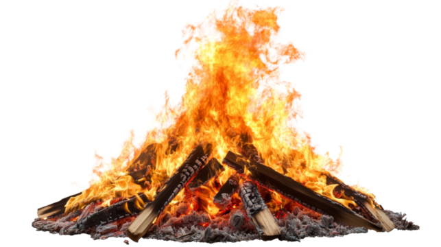 Bonfire burning with bright hot flames on transparent background
