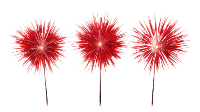 Red fireworks exploding with transparent background on a checkered backdrop