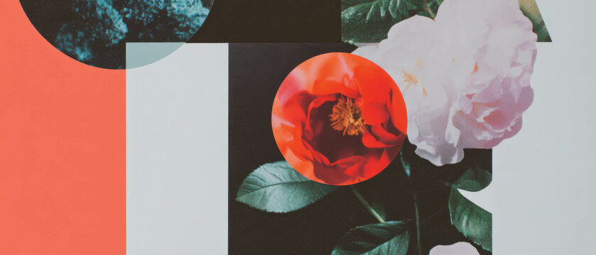 Minimalist collage featuring geometric shapes and floral elements with podcast cover art