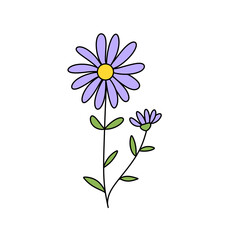 A purple flower with a yellow center