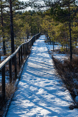 Trail through nature reserve with prints in snow