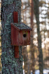 Bird house on tree trunk in forest