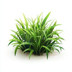 Fototapeta premium small patch of fresh green grass with dewdrops glistening on the blades, isolated on a clean white background