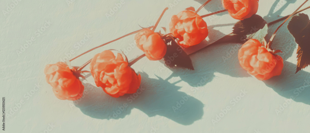 Poster Minimalistic scrapbook composition featuring cloudberries on textured linen background