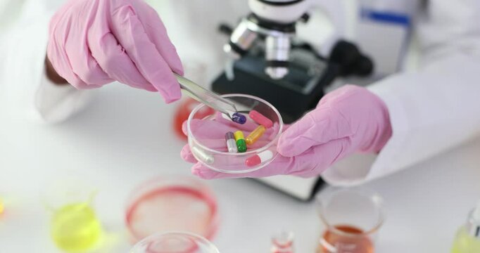 Scientist picks up colorful capsules from Petri dish using tweezers in lab. Medic conducts pharmaceutical research in laboratory setting