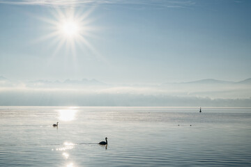 Un Matin de Silence et d’Eau