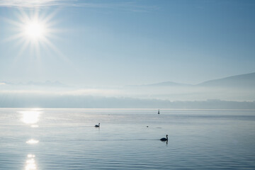 Quand le Lac Respire l’Hiver