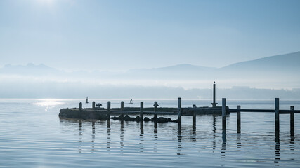 Obraz premium Reflets Flottants dans l’Aube Hivernale